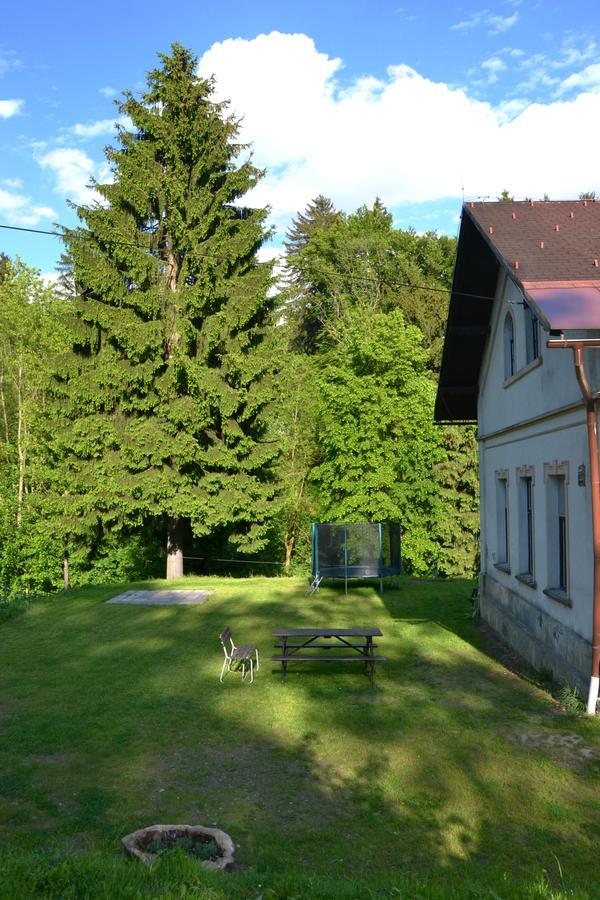 Penzion U Lipy Vysoke nad Jizerou Bagian luar foto
